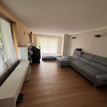 Quiet Studio In A House In Sevrier Annecy Lake Very Close To The Lake Eksteriør billede