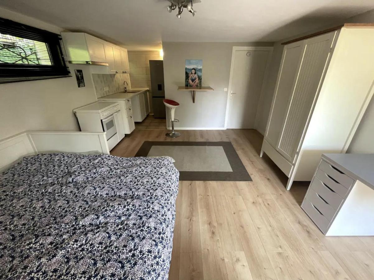 Quiet Studio In A House In Sevrier Annecy Lake Very Close To The Lake Eksteriør billede